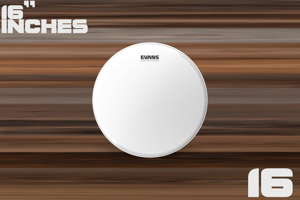 EVANS UV1 COATED BASS BATTER DRUM HEAD (SIZES 16" TO 24")